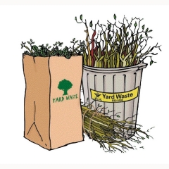 Yard Waste