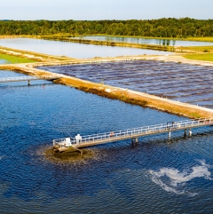 City of Hart, City Utilities, BioPure Treatment Facility
