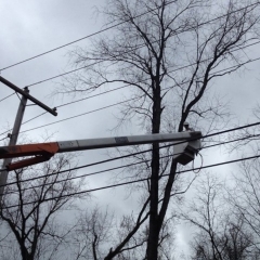 Power line